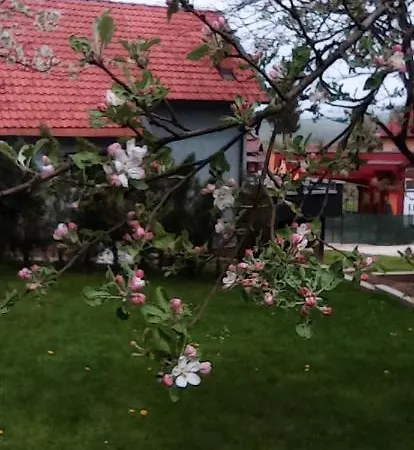 Ravne Apartment Visoko